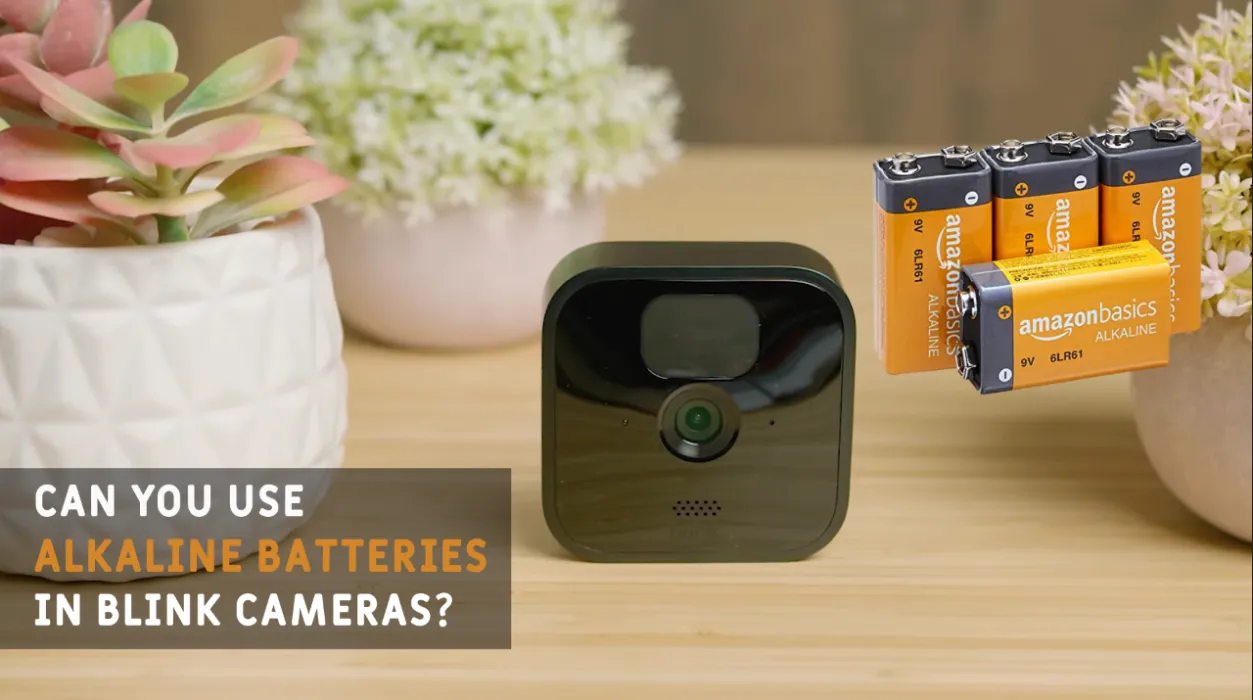 Can You Use Alkaline Batteries In Blink Cameras? Giga Smart Home